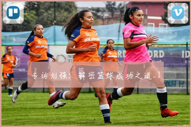 专访刘强：解密篮球成功之道_1