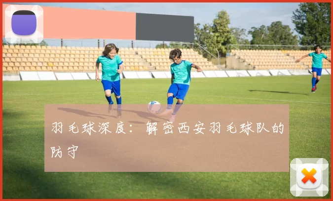羽毛球深度：解密西安羽毛球队的防守