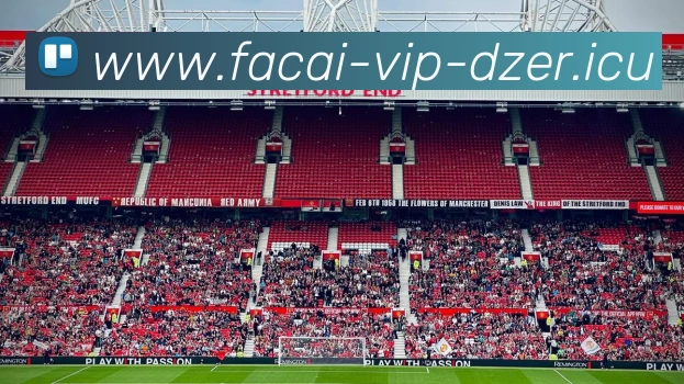 乐鱼体育APP 封面图